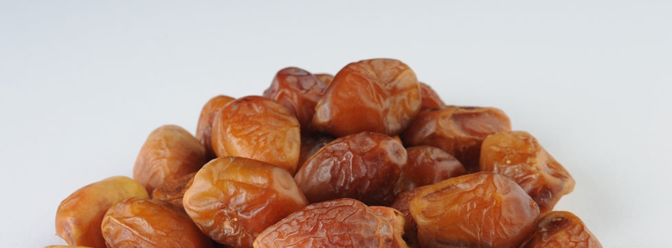 Zahedi_Dates